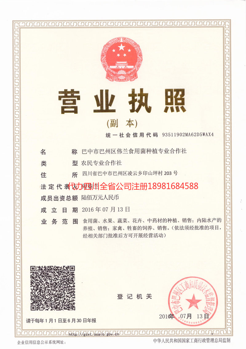 库尔勒库尔勒伟兰食用菌种植专业合作社